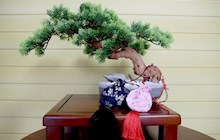 【中藥芳香】我院特推出端午香囊 與您共迎端午