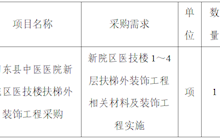 田東縣中醫(yī)醫(yī)院新院區(qū)醫(yī)技樓扶梯外裝飾工程院內(nèi)詢價采購公告