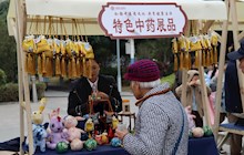 逛中醫(yī)集市 享健康盛宴