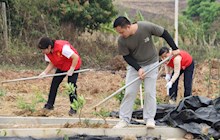共植希望之樹，同傳中藥文化——黨團(tuán)共建植樹節(jié)活動(dòng)圓滿舉行