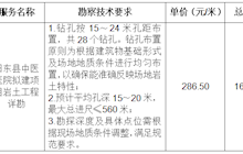 田東縣中醫(yī)醫(yī)院擬建項目巖土工程詳勘院內(nèi)采購成交結(jié)果公告
